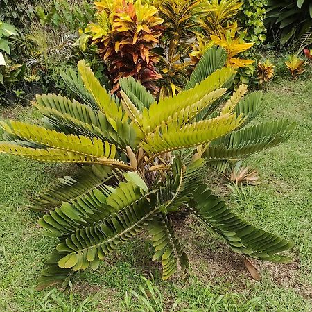 Bencastle Villa Gros Islet Eksteriør billede
