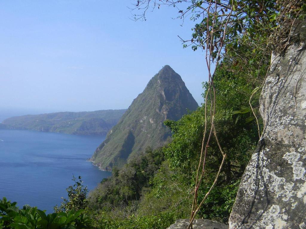 Bencastle Villa Gros Islet Eksteriør billede