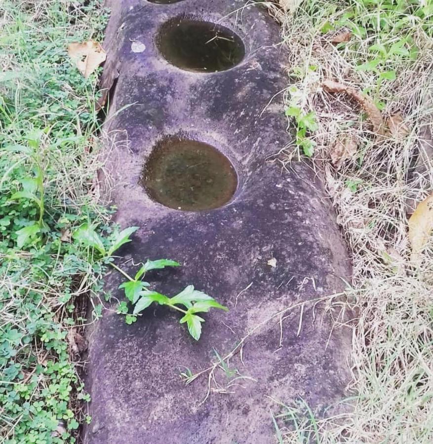Bencastle Villa Gros Islet Eksteriør billede