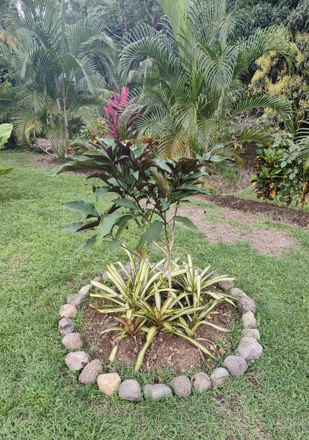 Bencastle Villa Gros Islet Eksteriør billede