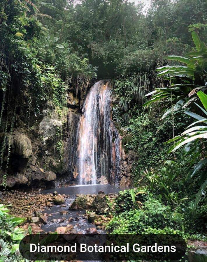 Bencastle Villa Gros Islet Eksteriør billede