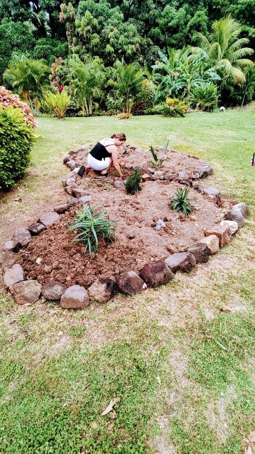 Bencastle Villa Gros Islet Eksteriør billede