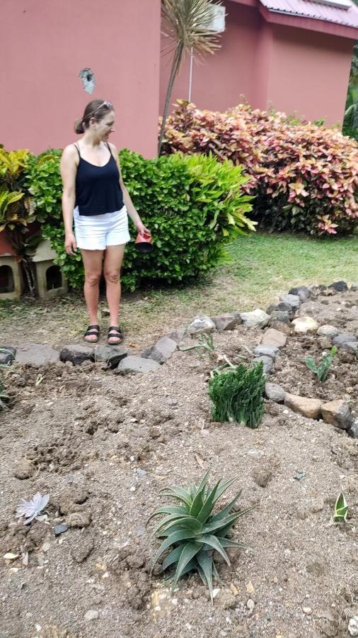 Bencastle Villa Gros Islet Eksteriør billede